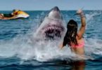 Shark Bait Promises Bloody Bites In Deep Water