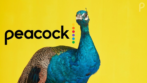 Peacock Will Stream all Lionsgate Movies Started in 2024
